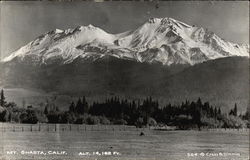 View of Mt. Shasta Postcard