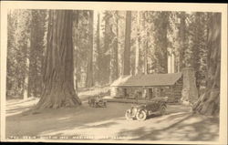 Cabin, Built in 1862 Yosemite National Park, CA Postcard Postcard