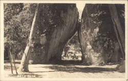 Arch Rock in Yosemite National Park Postcard