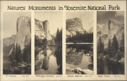 Natures Monuments in Yosemite National Park California Postcard Postcard