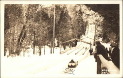 Sled Run Postcard