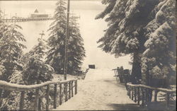 View of the Lake Lake Tahoe, CA Postcard Postcard