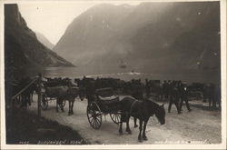 Fjord and Horse-Drawn Carts Gudvangen, Norway Postcard Postcard