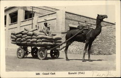 Camel Cart Karachi, Pakistan Postcard Postcard