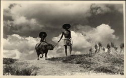 The Farmer's Children Hong Kong China Postcard Postcard