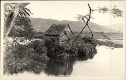 Shack on the Water New Territories, Hong Kong China Postcard Postcard