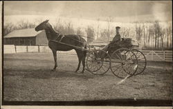 Man in Horse Drawn Carriage Postcard