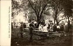 Field Day - Laurel Grange Postcard