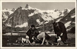 Hospice du Grand St. Bernard Saint Bernards Postcard Postcard