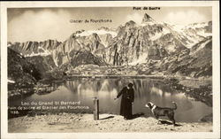 Lac du Grand St. Bernard Saint Bernards Postcard Postcard