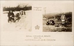 Royal Kennels Napierville, PQ Canada Saint Bernards Postcard Postcard