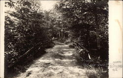 Bridge over Georges Brook Postcard