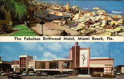 Driftwood Motel Miami Beach, FL Postcard Postcard