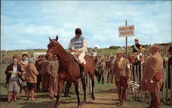 Point-to-Point Racing - Leaving the Paddock Horse Racing Postcard Postcard