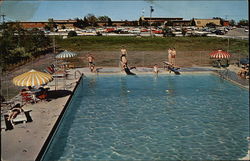 View of Fabulous Lake Murray Lodge and Swimming Pool Hotels Postcard Postcard