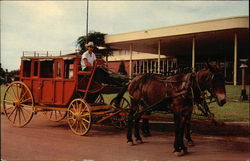 Stagecoach and Horse, Western Hills Lodge Sequoia & Kings Canyon National Parks Postcard Postcard