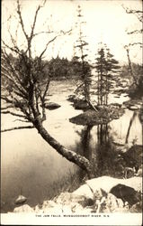 The Jam Falls Musquodoboit River, NS Canada Nova Scotia Postcard Postcard