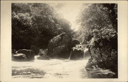 River and Waterfall Scene Postcard