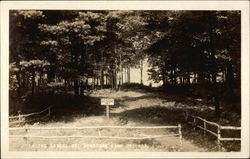 Trail to the Beach, Mt. Gunstock Camp Grounds Gilford, NH Postcard Postcard