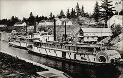 Riverboats on River Postcard