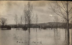 Flood - Casino Park Endicott, NY Postcard Postcard