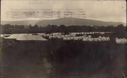 View of Tents in Endicott New York Postcard Postcard