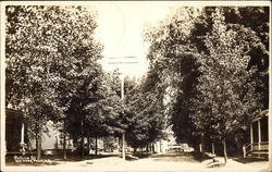 Collins Street Postcard