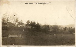 Park Street Whitney Point, NY Postcard Postcard