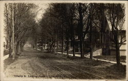 Liberty St., Looking North Postcard