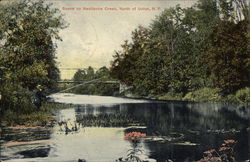 Scene on Nauticoke Creek, North of Town Postcard