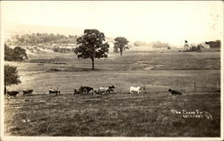 The Chase Farm Windsor, NY Postcard Postcard