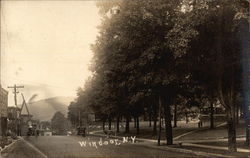 Street View, Windsor New York Postcard Postcard