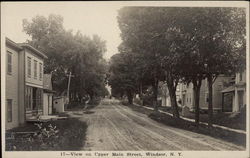 View on Upper Main Street Windsor, NY Postcard Postcard