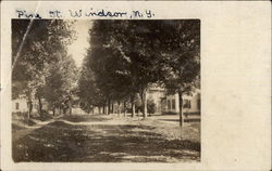 Pine Street Windsor, NY Postcard Postcard