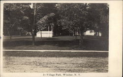 Village Park Windsor, NY Postcard Postcard