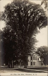 The Old Elm Postcard