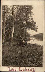 View of Lily Lake Lloyd, NY Postcard Postcard