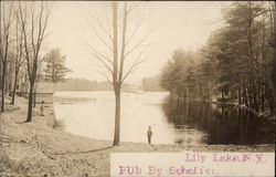 View of the Lily Lake Postcard