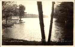 Looking Down Lily Lake Fenton, NY Postcard Postcard