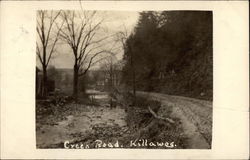 Creek Road Postcard