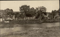 River View Killawog, NY Postcard Postcard