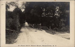 Road Below School House Harpursville, NY Postcard Postcard