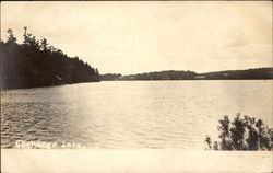 View of Chenango Lake Postcard