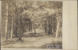 Wheeler Grove Deposit, NY Postcard Postcard