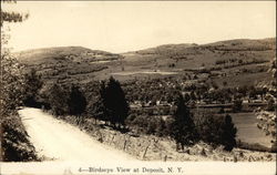 Birdseye View at Deposit New York Postcard Postcard