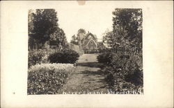 Looking Up Lover's Lane Deposit, NY Postcard Postcard