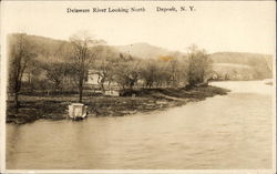 Delaware River Looking North Deposit, NY Postcard Postcard