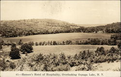 Hanson's Hotel of Hospitality Deposit, NY Postcard Postcard