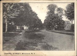 Chapel Street Windsor, NY Postcard Postcard