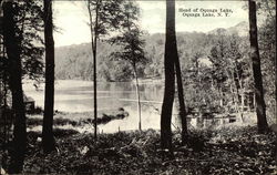 Head of Oquaga Lake Postcard